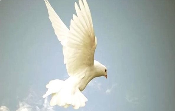 Veglia di Pentecoste img