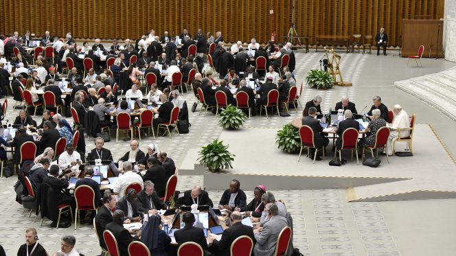 assemblea sinodale