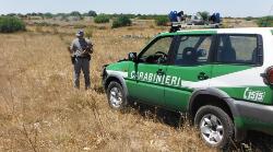 carabinieri-forestali_mini