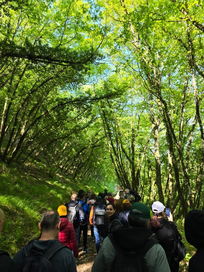 eremo 1